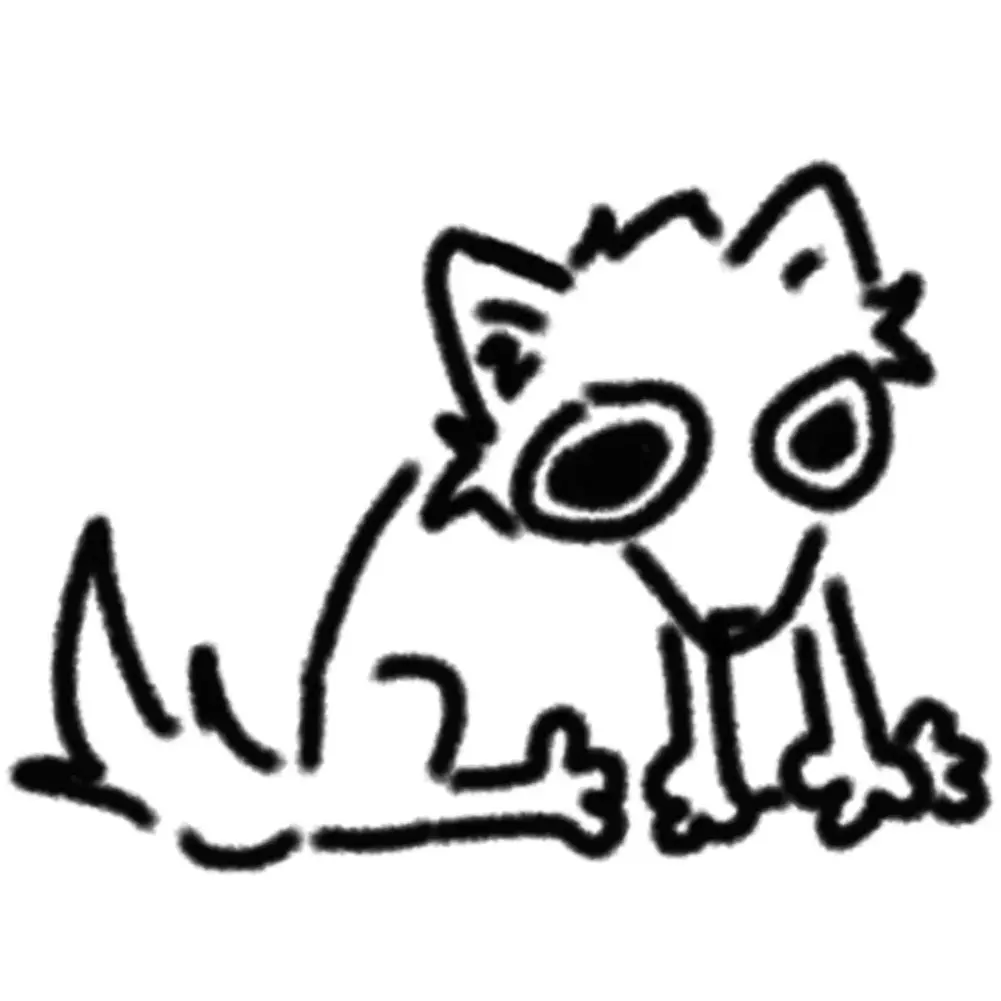 dog