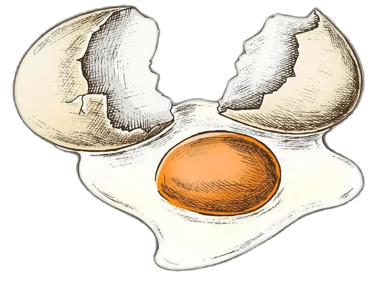 You can see it in the yolk