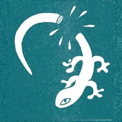 lizard